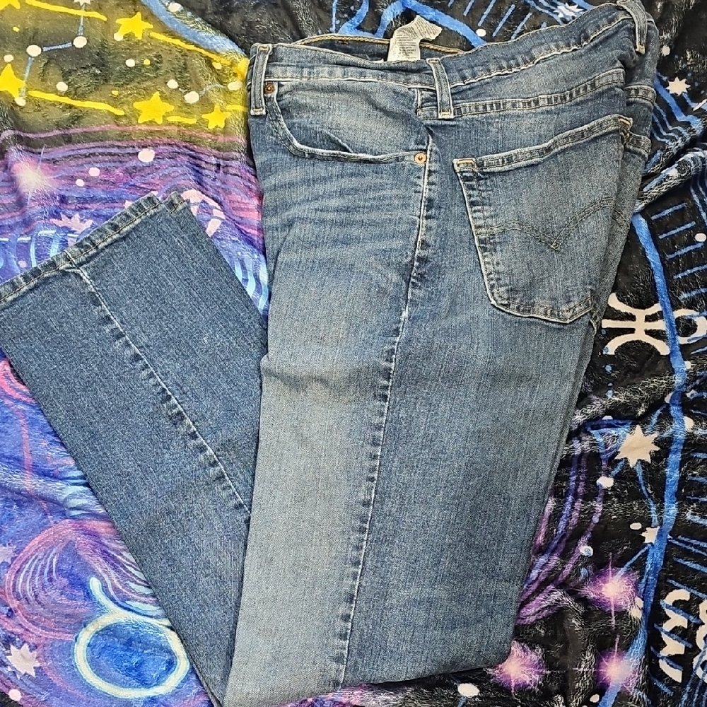 Levi's Mens Straight Leg Jeans in Blue